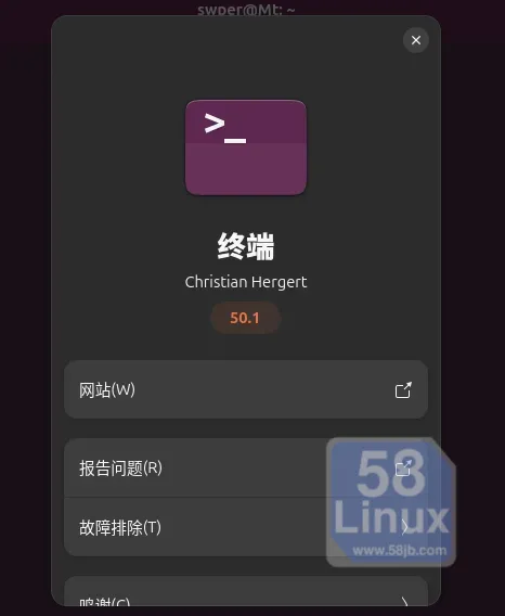 Ptyxis版本信息