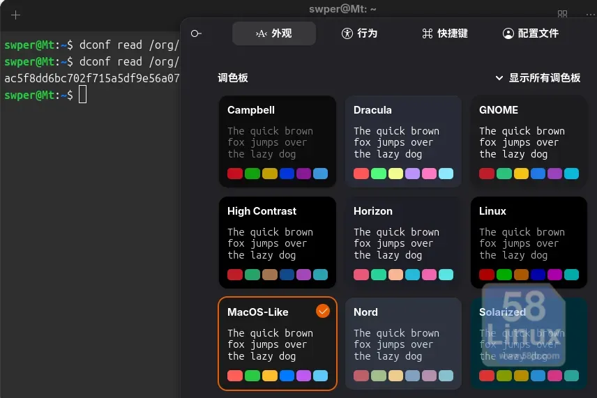 ubuntu26.04 个性化Ptyxis样式