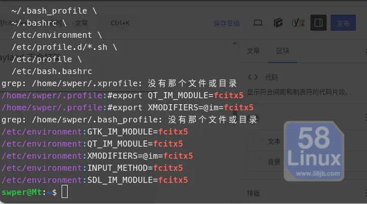 查看Fcitx5 环境变量保存在哪个文件