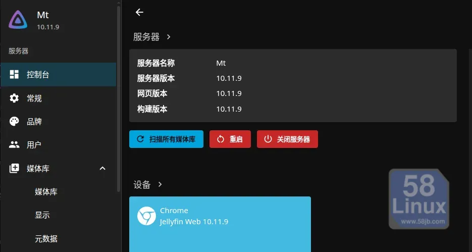 Jellyfin服务端后台