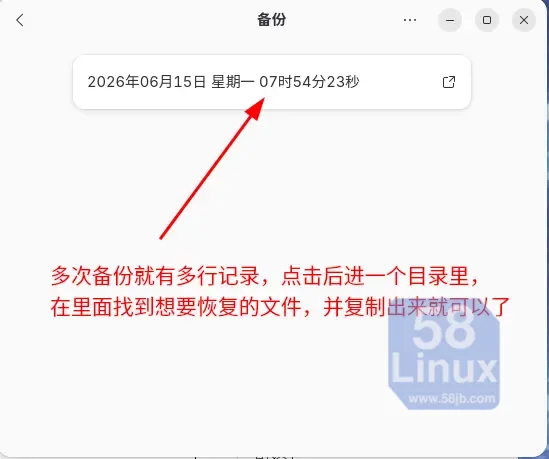 Deja Dup如何恢复数据