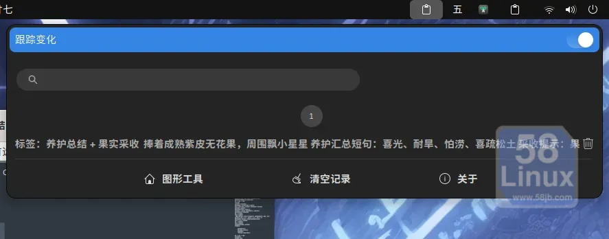 Gpaste剪贴板右上角记录效果图